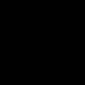 Meet your Posher, Aline